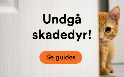 Banner mobile